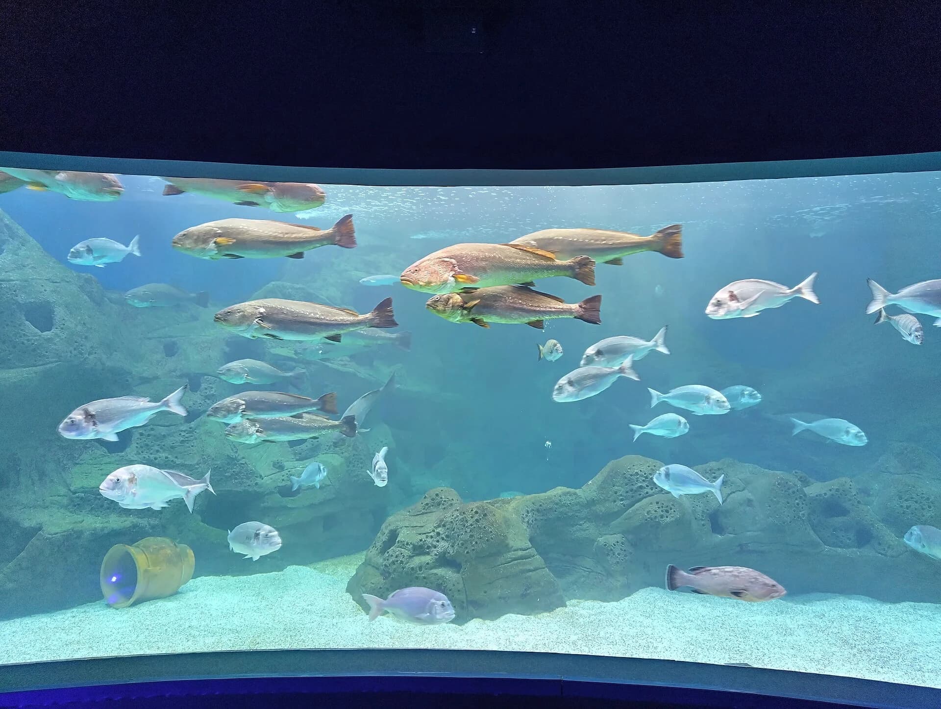 Bassin au CRETAquarium de Gournes