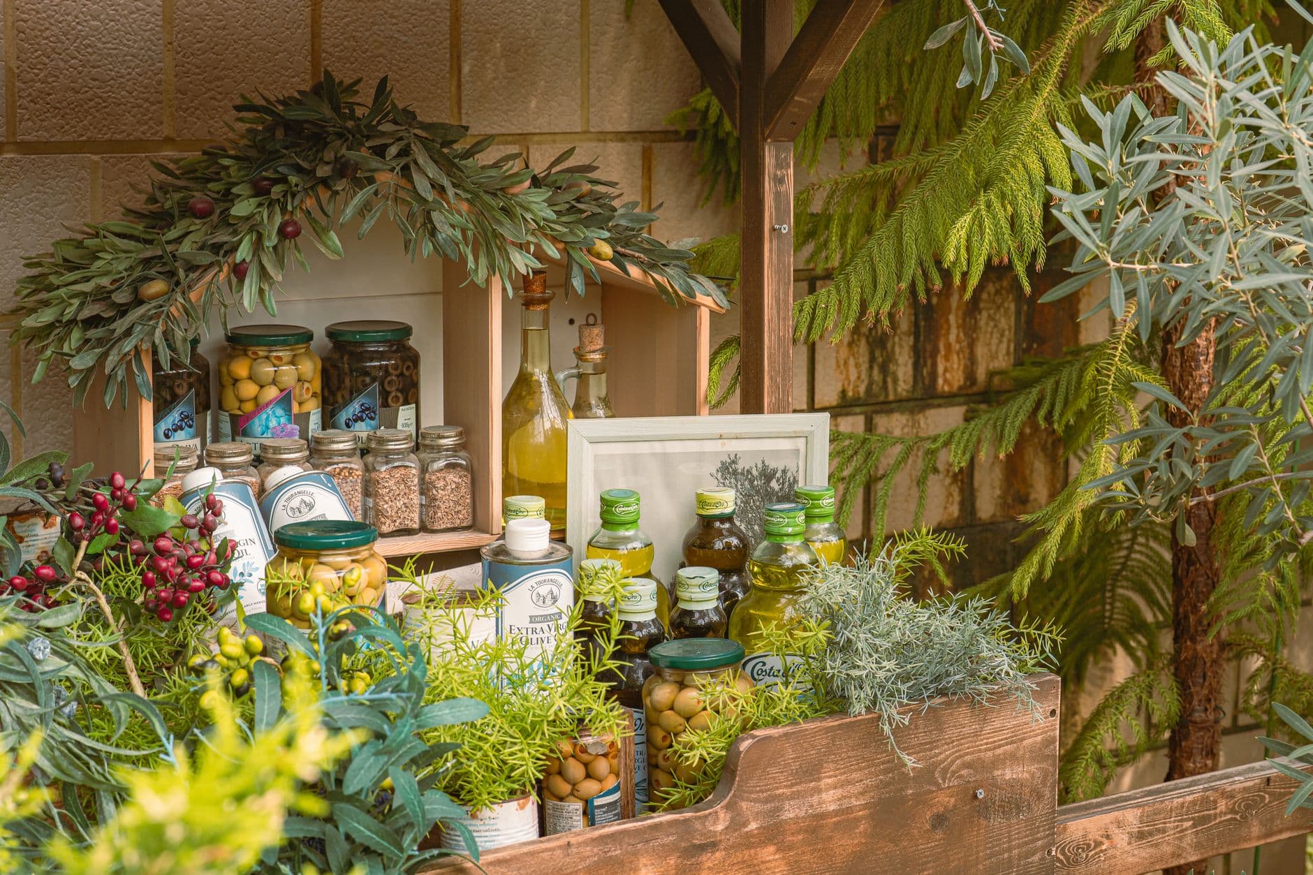 Rangée d'oliviers centenaires sous le soleil dans la campagne crétoise